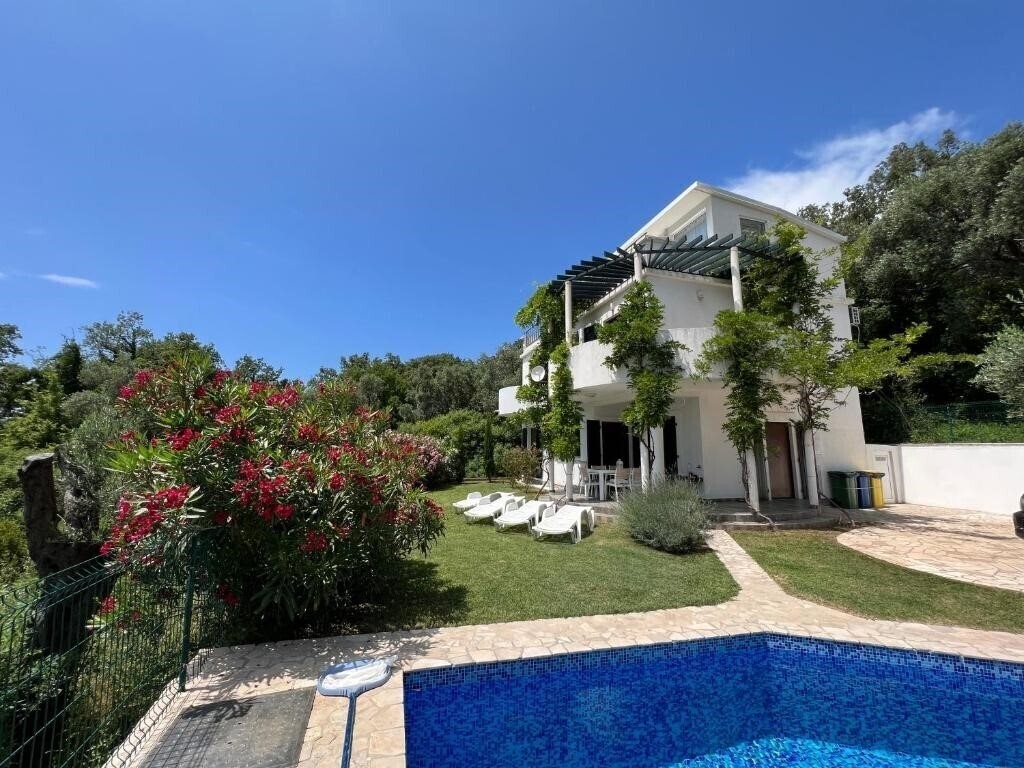Отель Green Villa 3*