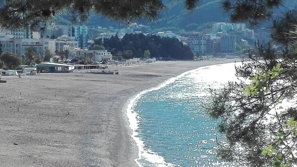 Obraz Petrovic App 3*