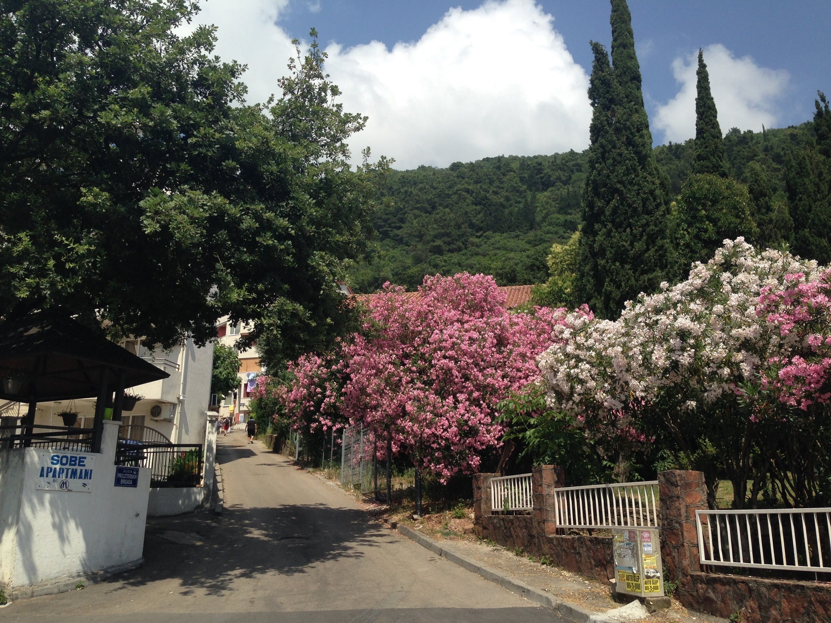 Зображення Villa Mare Budva 3*