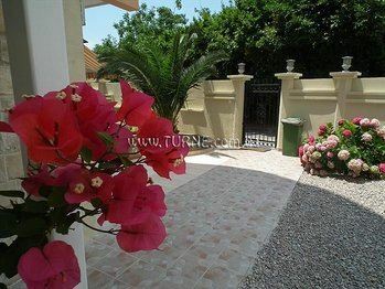 Картинка Koral 3*