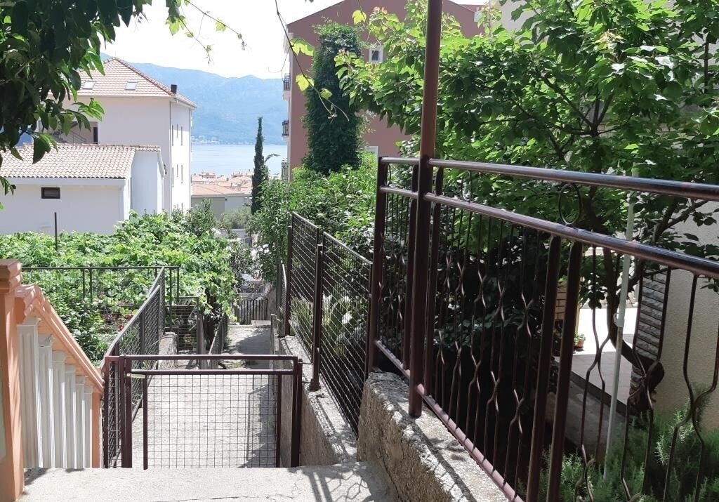 Фотографія Zorka 3*