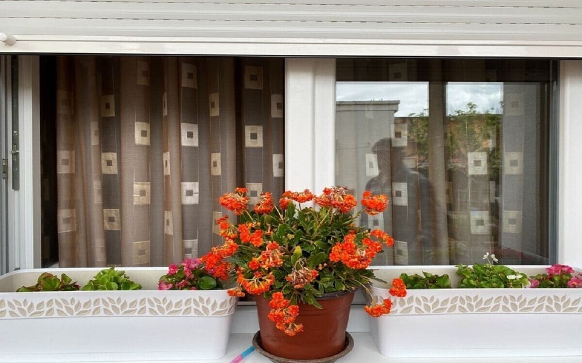 Zdjęcie Lijesevic New Apartments 3*