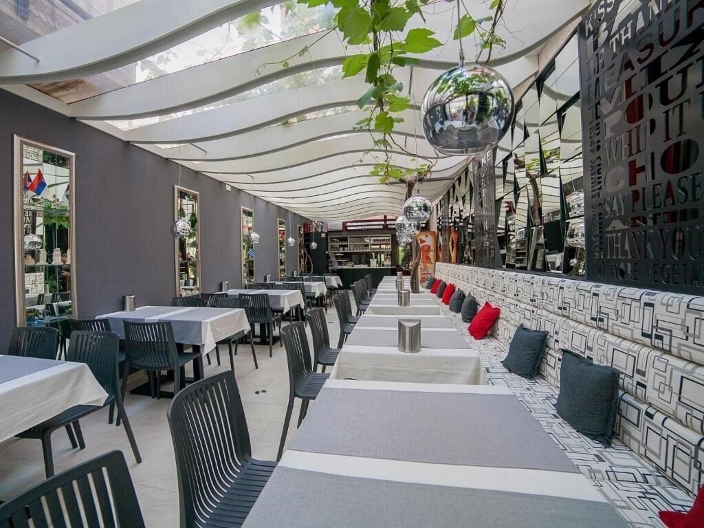 Obraz Dimic Ellite 4*