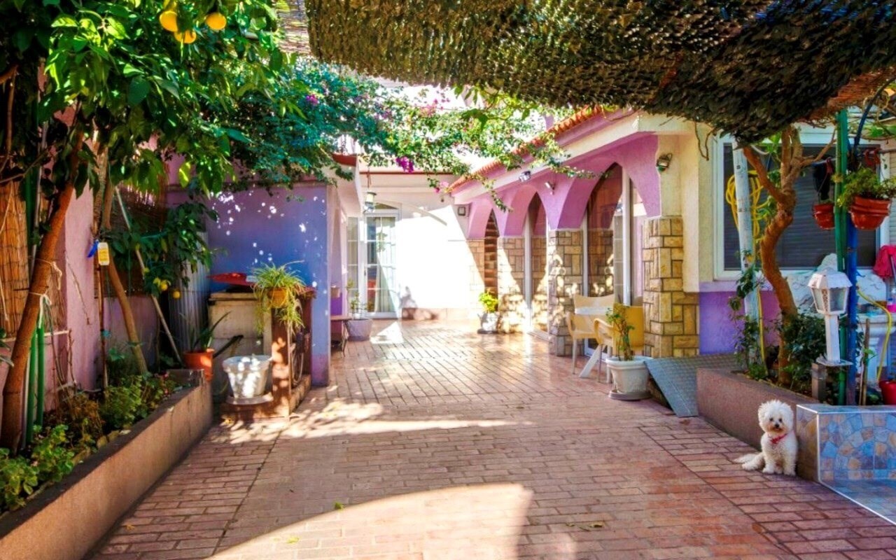 Zdjęcie Guest House Violet Aparthotel 2*