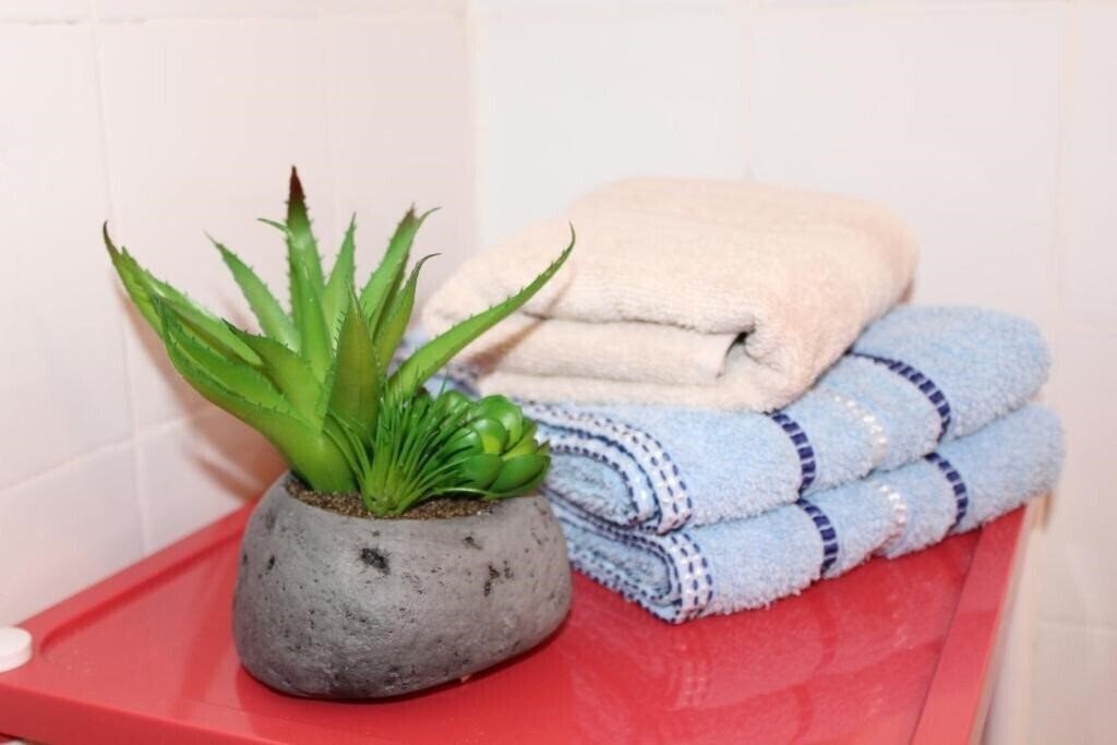 Изображение Guest House Tomanovic 3*