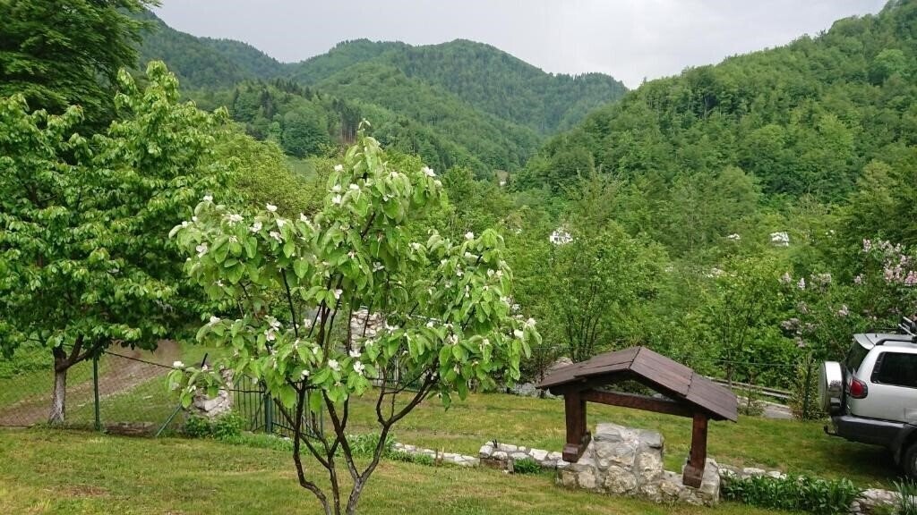 Obraz Apartments Lux 3*