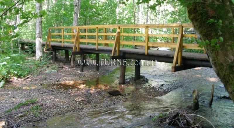 Фотографія Apartments Lux 3*