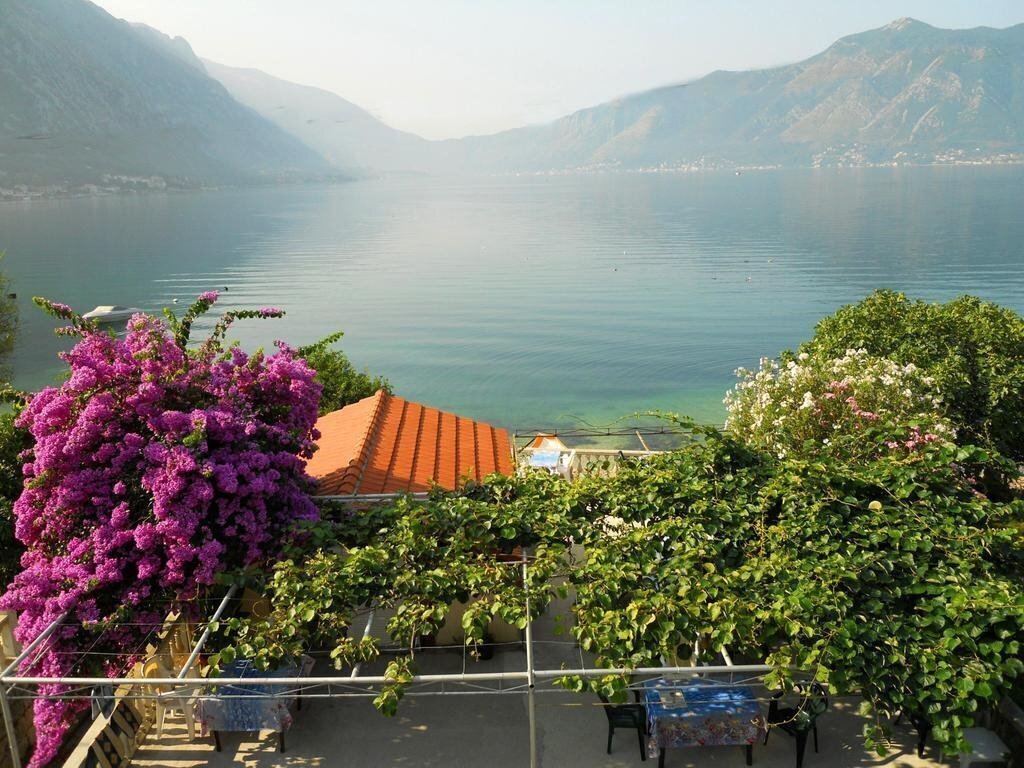 Zdjęcie Villa Radojkovici 3*