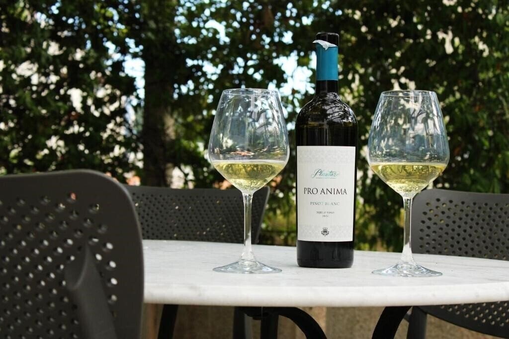 Zdjęcie Villa Mila 4*