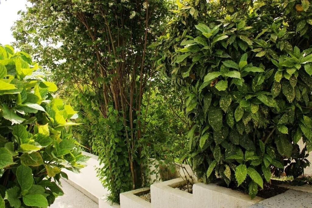 Zdjęcie Villa Mila 4*