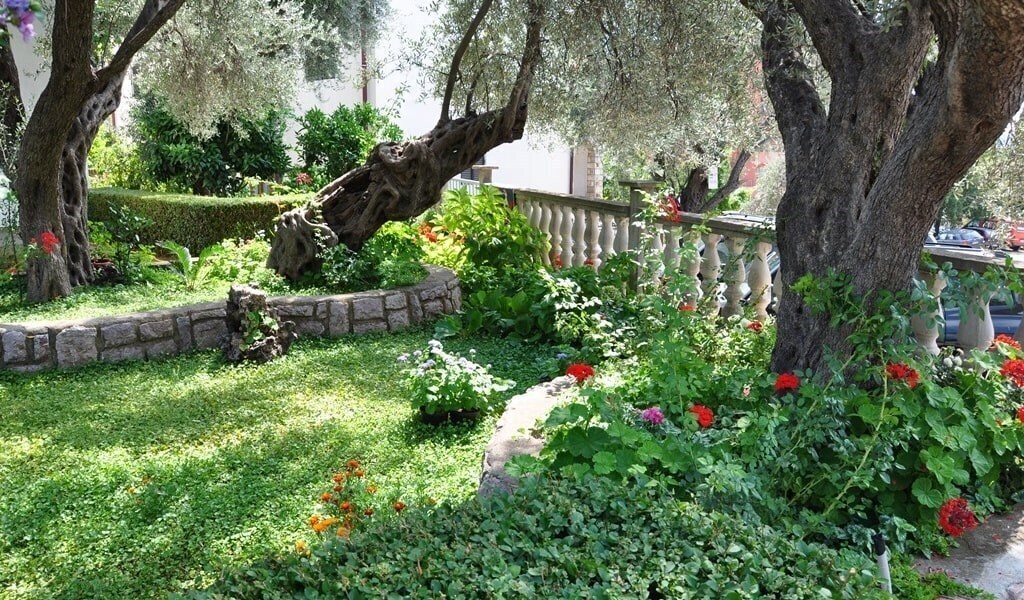 Zdjęcie Petrovic Apart 3*