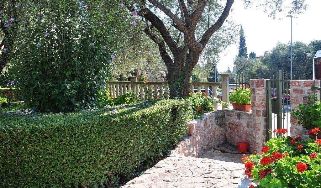 Zdjęcie Petrovic Apart 3*