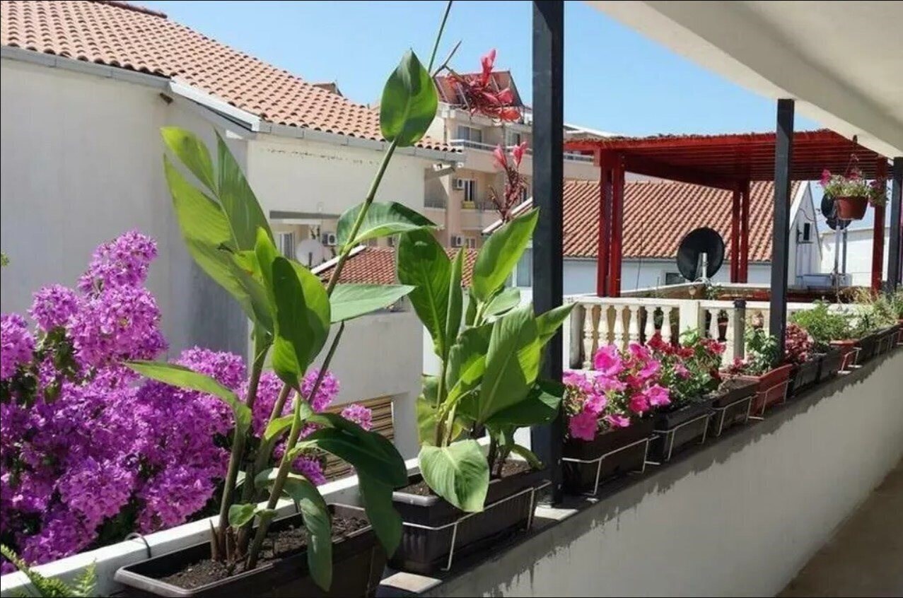 Zdjęcie Kod Saicica 3*