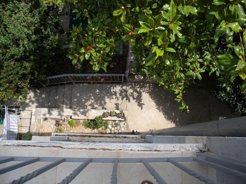 Фото Markovic Sutomote 3*