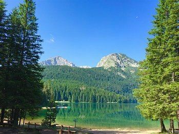 Отель Vojinovic 3*