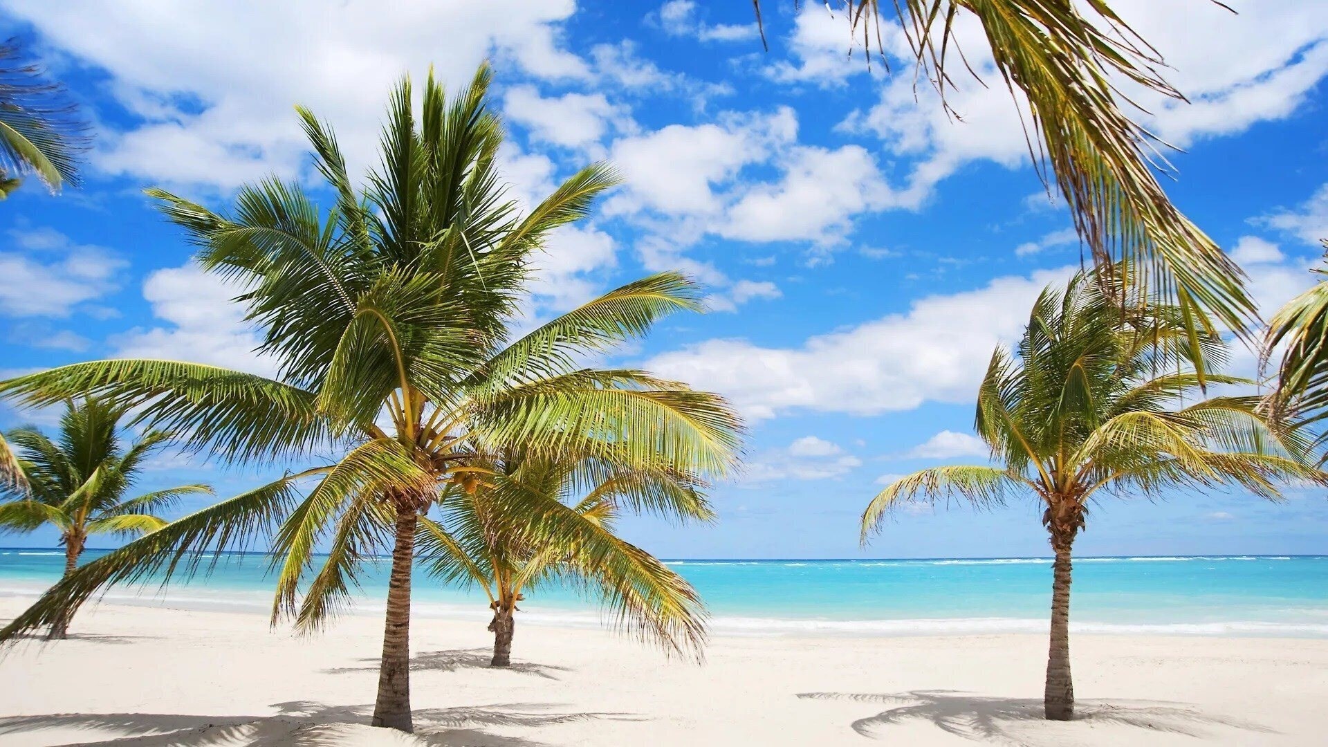 Zdjęcie Karibo Punta Cana 3*