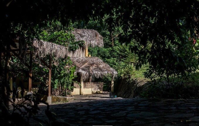 Zdjęcia Jurassic Park Hotel + 2*