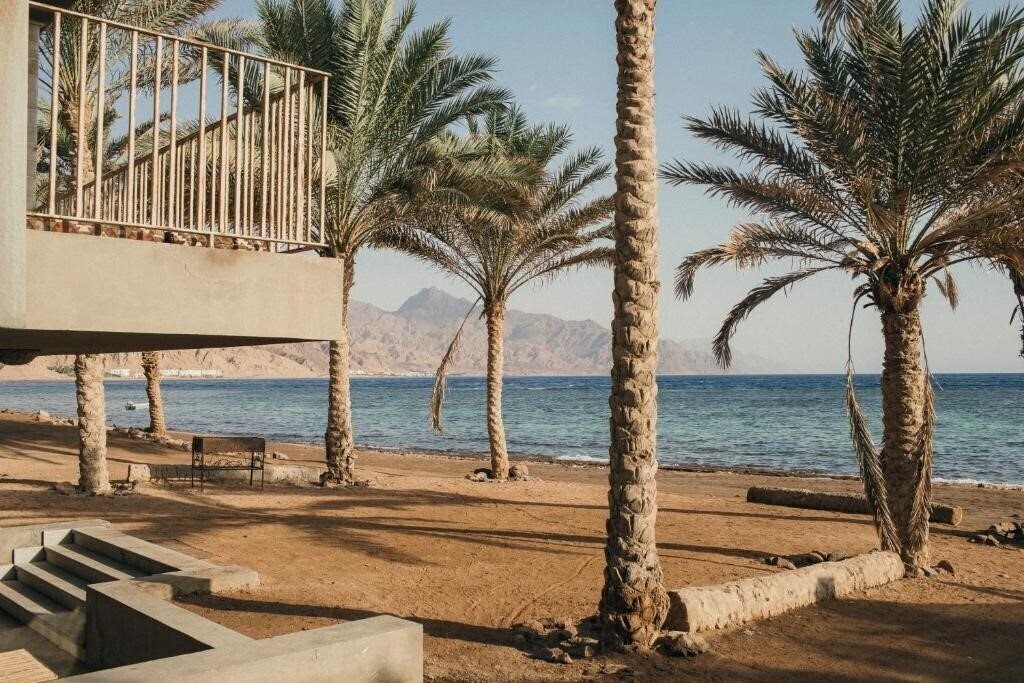 Зображення Dar Dahab 3*