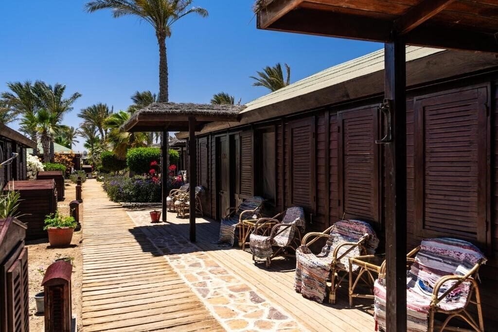 Картинка Abou Dabbab 3*