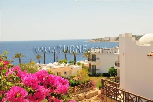 Зображення Dessole Nesco Waves 4*