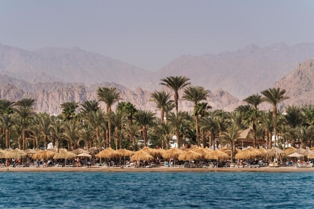Hotel Jaz Fayrouz Resort 4*