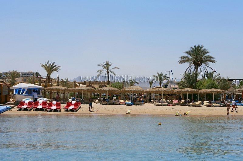 Картинка Tropicana Rosetta 4*