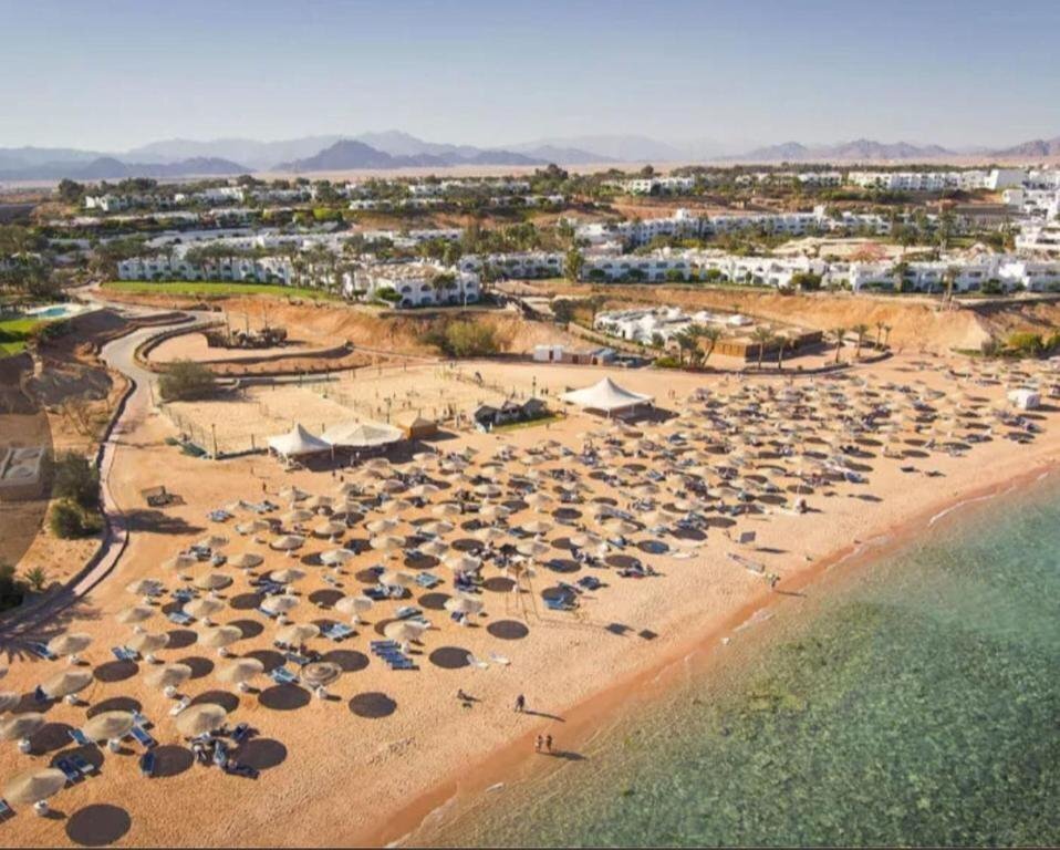 Изображение Domina Coral Bay Elisir 5*