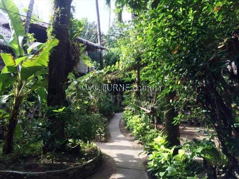 Obraz Orchid Resort 4*