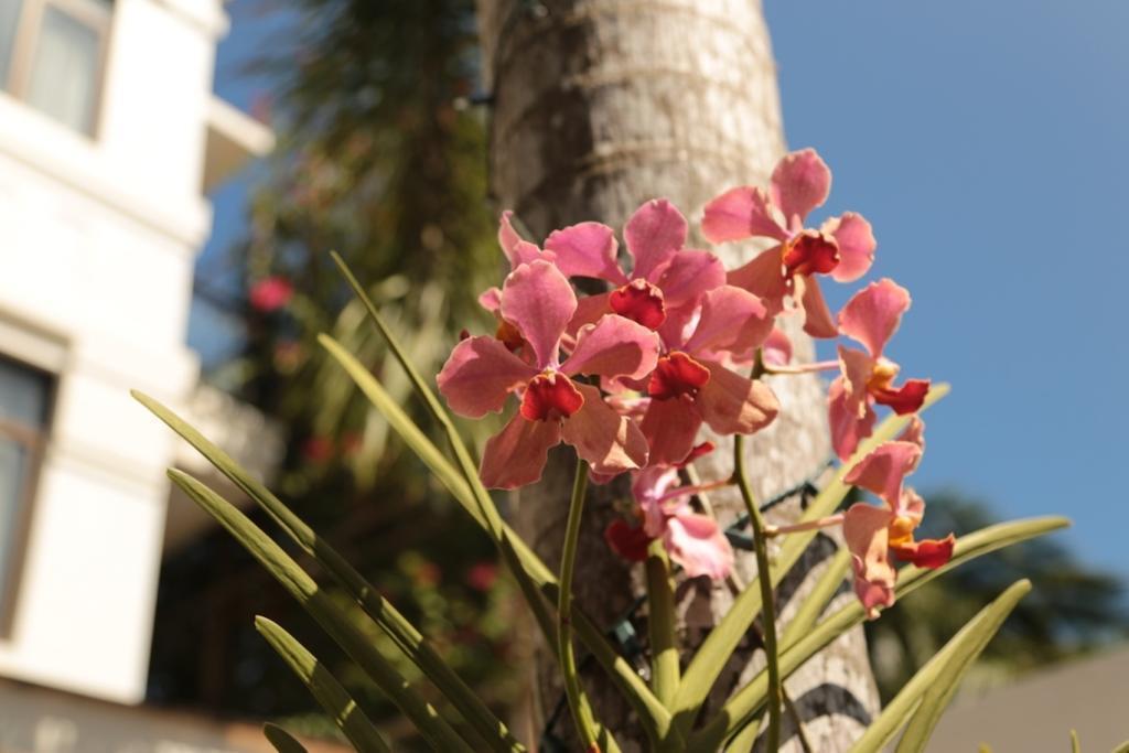 Zdjęcie One Crescent Place Hotel 4*