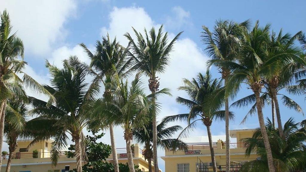 Hotel Sun Villa Beachfront Resort & Spa 3*