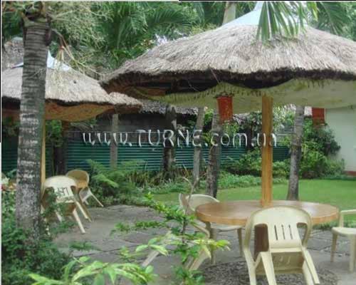 Фотографія Red Coconut Beach Resort 4*