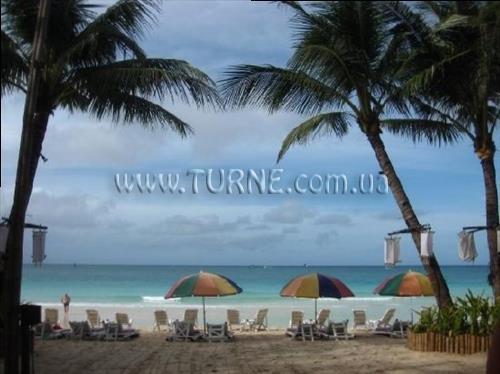 Зображення Nigi Nigi Nu Noos 3*