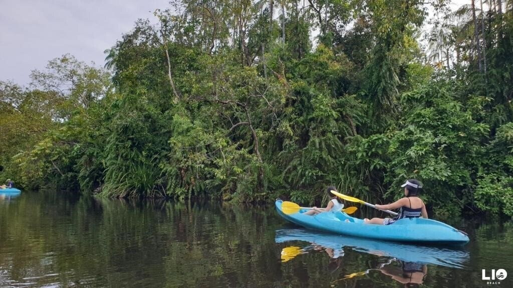 Картинка Huni Lio 3*