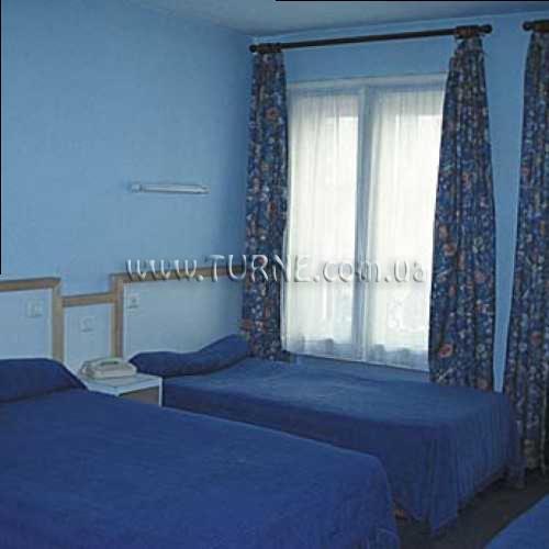 Zdjęcie Rex Comprador 2*