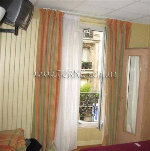 Obraz Palm Opera 3*