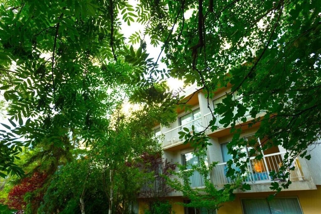 Zdjęcie Hotel Restaurant Pavillon Carina (ex. Hotel Carina Pavillon) 2*