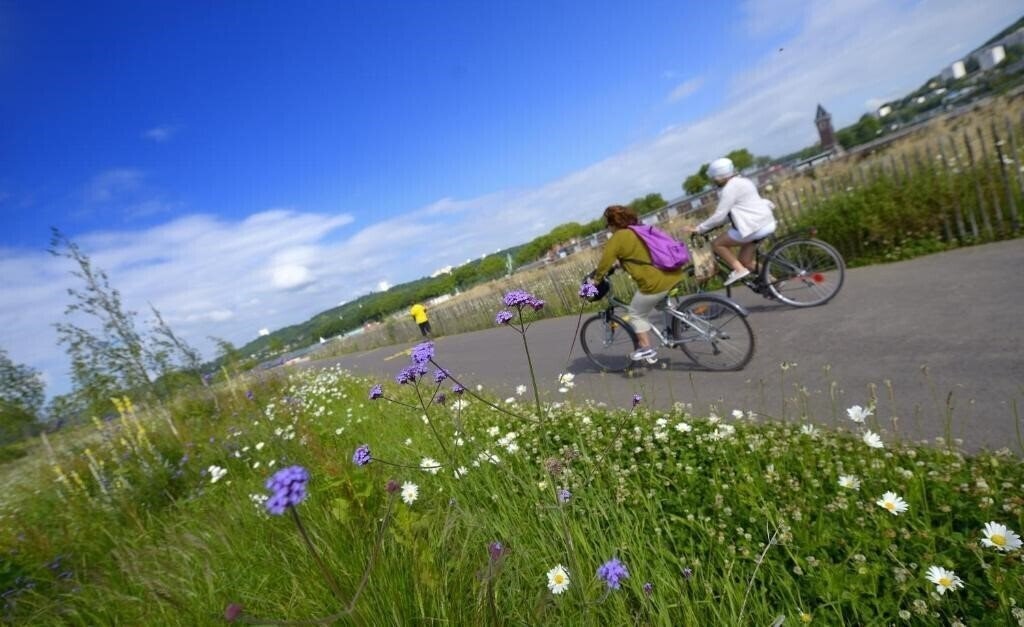 Зображення Holiday Inn Express Rouen Centre Rive Gauche 3*