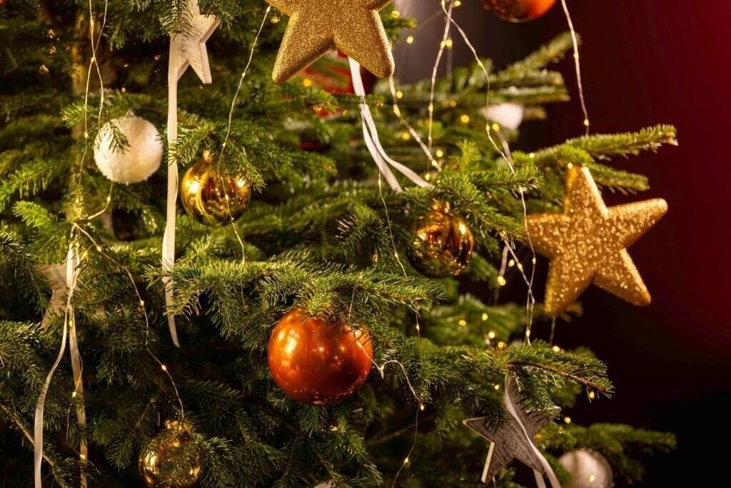 Картинка D Strasbourg 4*