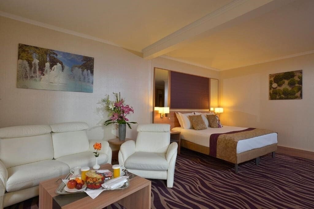Zdjęcia Crowne Plaza Toulouse 5*