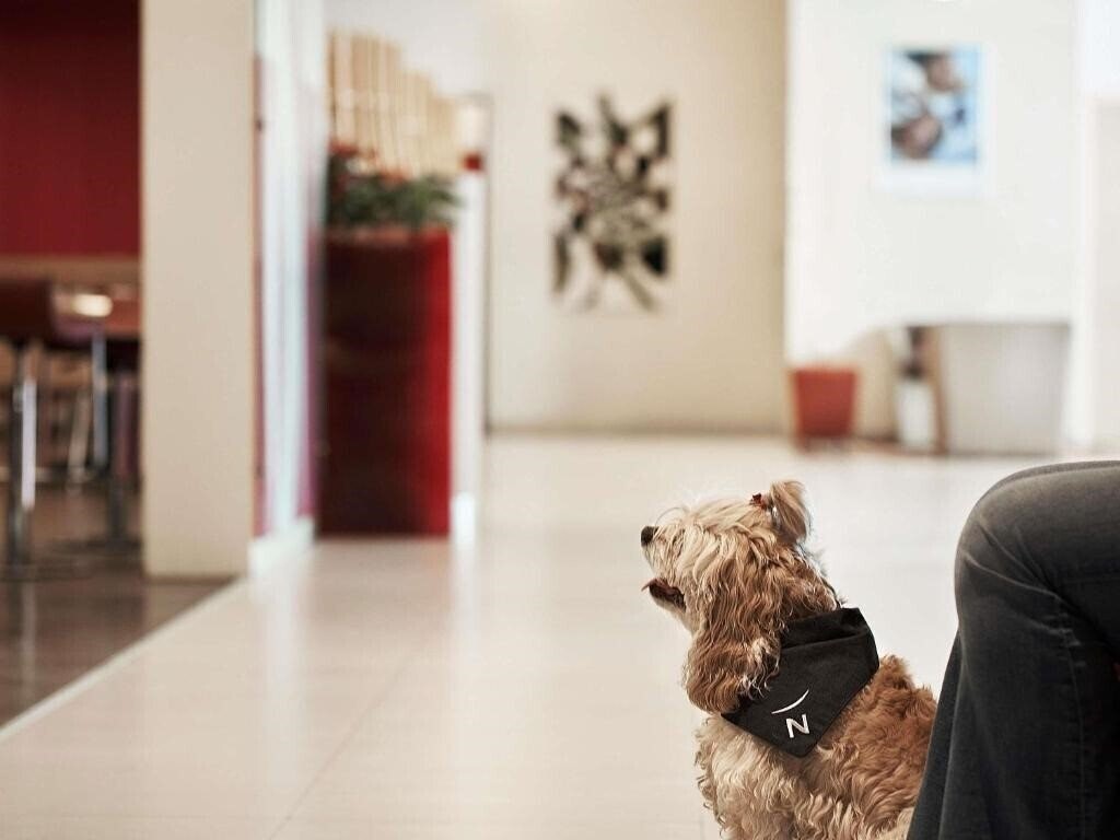 Obraz Novotel Athenes 4*