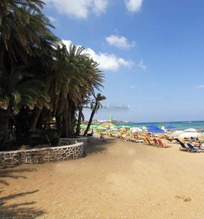 Фото Palm Beach Hotel 3*