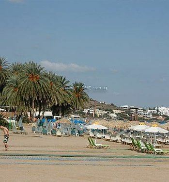 Отель Palm Beach Hotel 3*