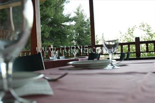 Зображення Forest Park Hotel 3*