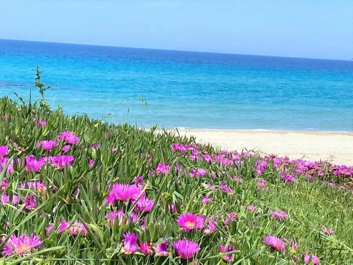 Zdjęcie Palma Village by Greek Pride Hotels (ex. Tropical Fourka) 4*