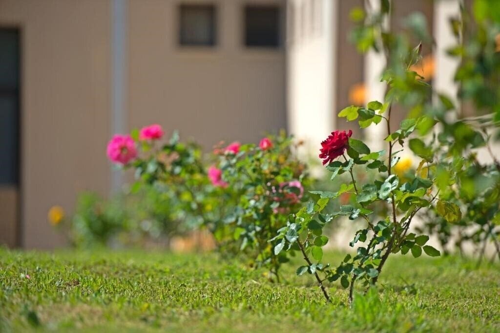 Картинка Kymi Palace 4*