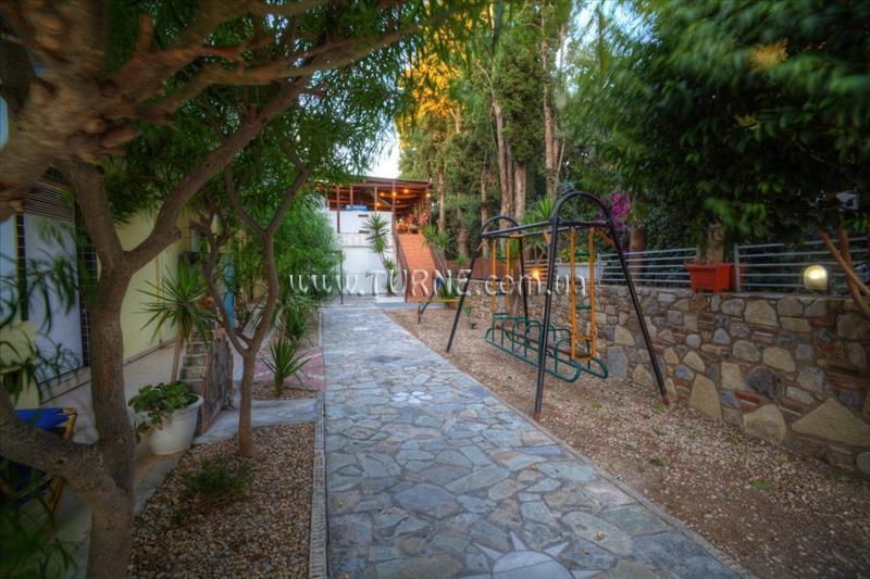 Zdjęcie Sunny Days 3*