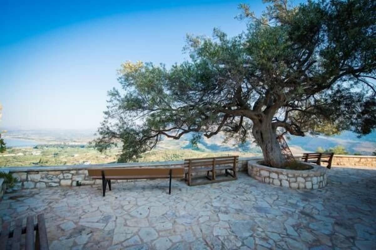 Obraz Olive Lemon-Morfi Village 4*