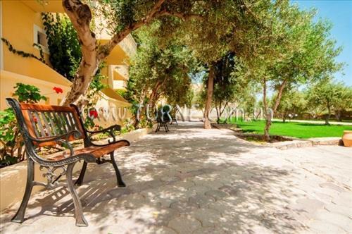 Zdjęcie Dessole Blue Star 4*