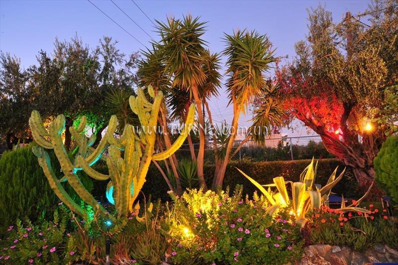 Obraz Argiro Village 2*