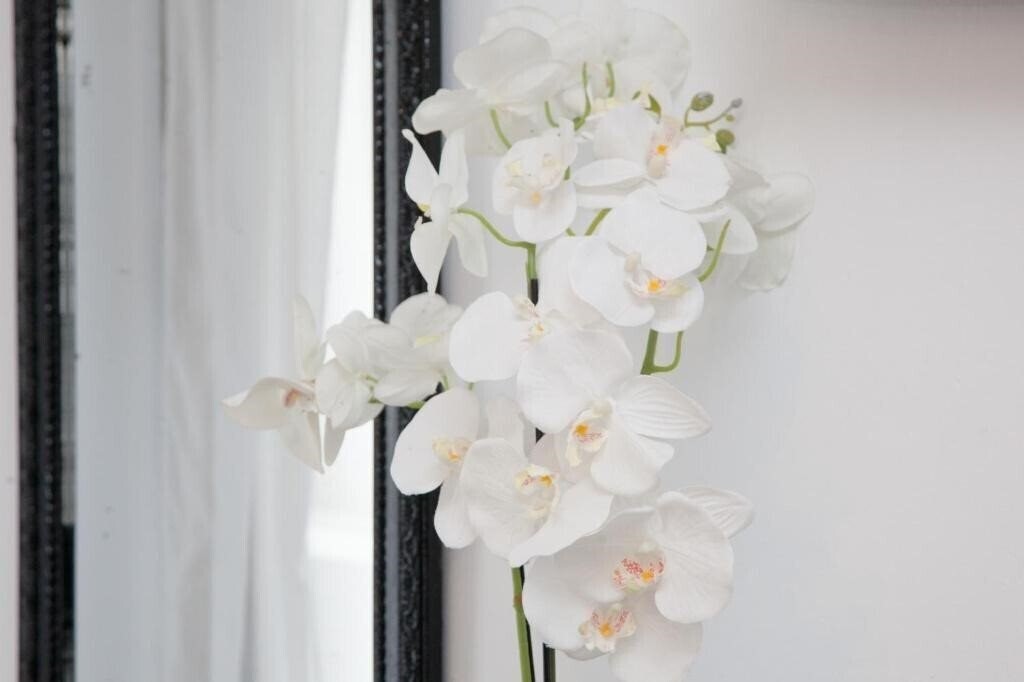 Obraz Georgia Studios And Apartments 2*